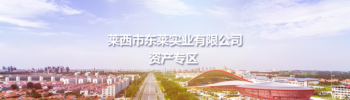 萊西市東萊實(shí)業(yè)有限公司資產(chǎn)專區(qū)